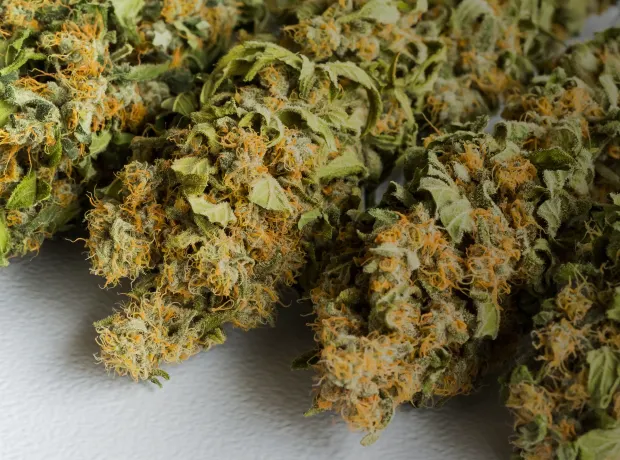 THCa Flower