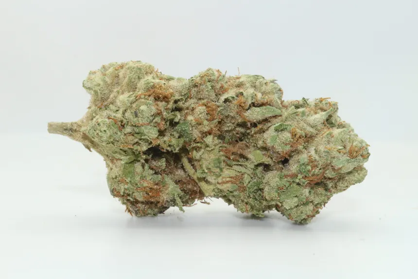 Larry's Lemons hemp flower cola with frosty trichomes and copper pistils
