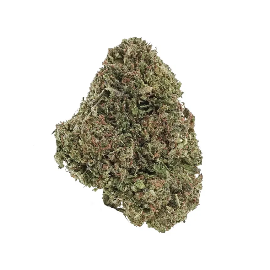 Bubba Kush 59 hemp flower with olive green bracts and rust colored pistils